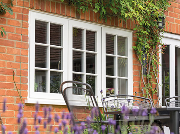 Eden Evolution Flush Windows